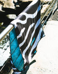 The Zebra