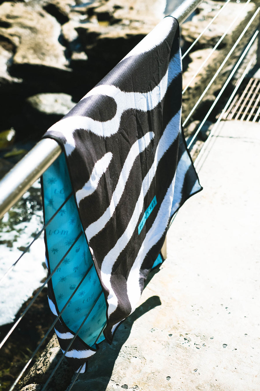Das Zebra - 11
