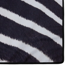 Das Zebra thumb 5